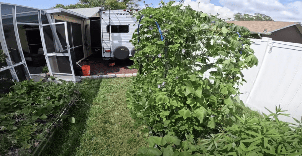 Raised bed gardening